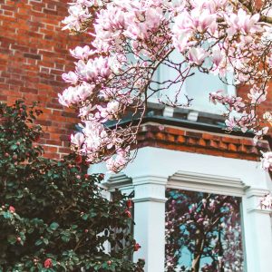 Spring market - property marketing - property public relations